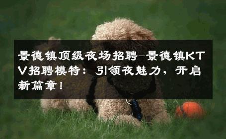 景德镇顶级夜场招聘-景德镇KTV招聘模特：引领夜魅力，开启新篇章！