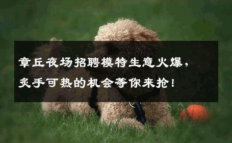 章丘夜场招聘模特生意火爆，炙手可热的机会等你来抢！