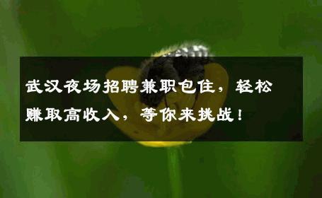 武汉夜场招聘兼职包住，轻松赚取高收入，等你来挑战！