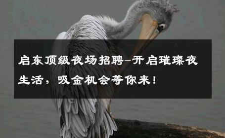 启东顶级夜场招聘-开启璀璨夜生活，吸金机会等你来！