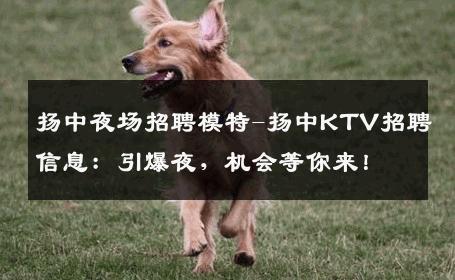 扬中夜场招聘模特-扬中KTV招聘信息：引爆夜，机会等你来！