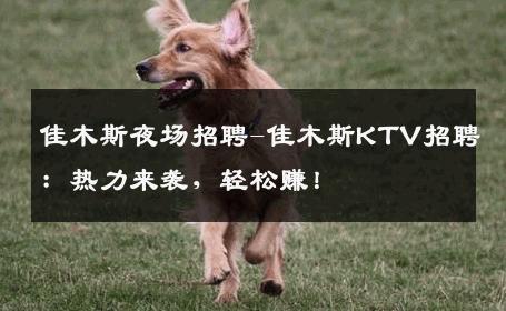 佳木斯夜场招聘-佳木斯KTV招聘：热力来袭，轻松赚！