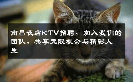 南昌夜店KTV招聘，加入我们的团队，共享无限机会与精彩人生