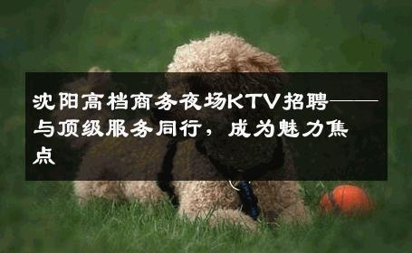 沈阳高档商务夜场KTV招聘——与顶级服务同行，成为魅力焦点