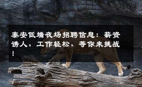 泰安低端夜场招聘信息：薪资诱人，工作轻松，等你来挑战！