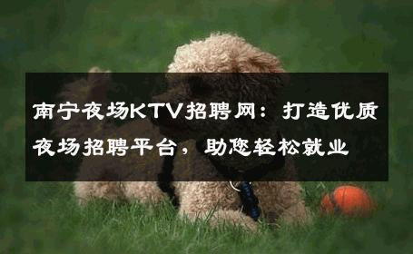 南宁夜场KTV招聘网：打造优质夜场招聘平台，助您轻松就业