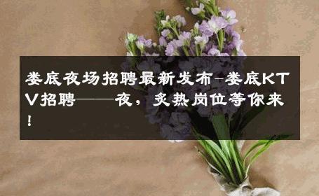 娄底夜场招聘最新发布-娄底KTV招聘——夜，炙热岗位等你来！