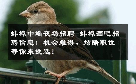 蚌埠中端夜场招聘-蚌埠酒吧招聘信息：机会难得，炫酷职位等你来挑选！