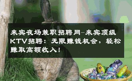 来宾夜场兼职招聘网-来宾顶级KTV招聘：无限赚钱机会，轻松赚取高额收入！