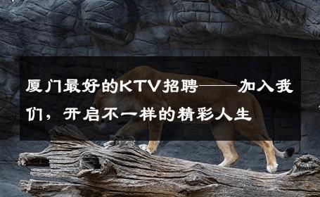 厦门最好的KTV招聘——加入我们，开启不一样的精彩人生