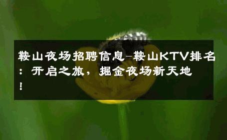 鞍山夜场招聘信息-鞍山KTV排名：开启之旅，掘金夜场新天地！