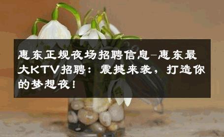 惠东正规夜场招聘信息-惠东最大KTV招聘：震撼来袭，打造你的梦想夜！