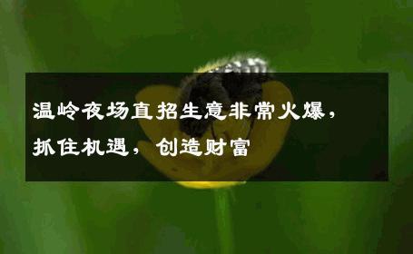 温岭夜场直招生意非常火爆，抓住机遇，创造财富