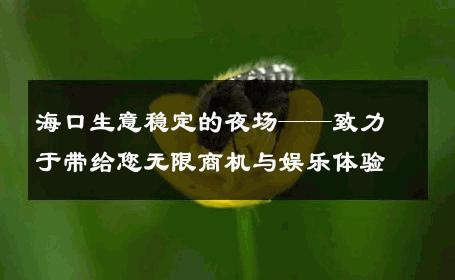 海口生意稳定的夜场——致力于带给您无限商机与娱乐体验