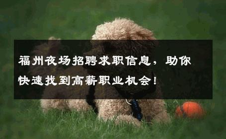 福州夜场招聘求职信息，助你快速找到高薪职业机会！