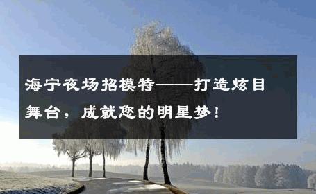海宁夜场招模特——打造炫目舞台，成就您的明星梦！