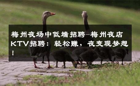 梅州夜场中低端招聘-梅州夜店KTV招聘：轻松赚，夜变现梦想！