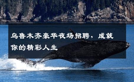 乌鲁木齐豪华夜场招聘，成就你的精彩人生