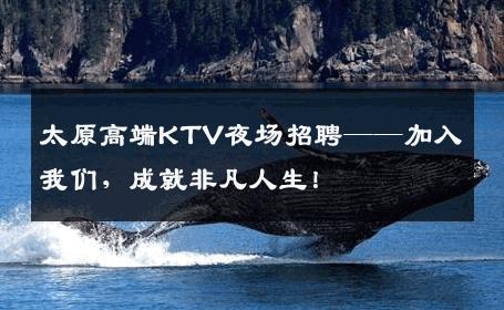 太原高端KTV夜场招聘——加入我们，成就非凡人生！