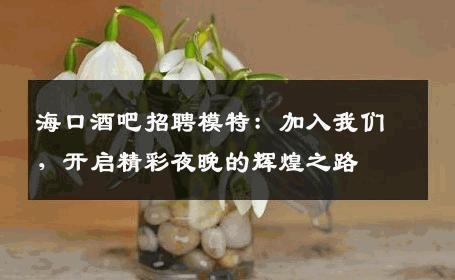 海口酒吧招聘模特：加入我们，开启精彩夜晚的辉煌之路