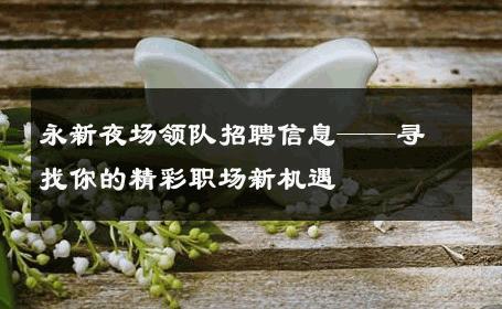 永新夜场领队招聘信息——寻找你的精彩职场新机遇