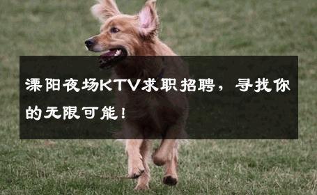 溧阳夜场KTV求职招聘，寻找你的无限可能！