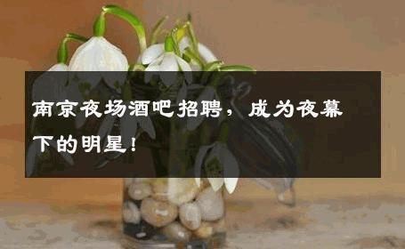 南京夜场酒吧招聘，成为夜幕下的明星！