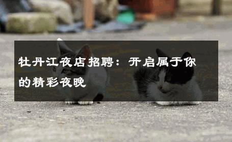 牡丹江夜店招聘：开启属于你的精彩夜晚