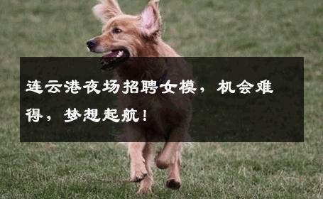 连云港夜场招聘女模，机会难得，梦想起航！