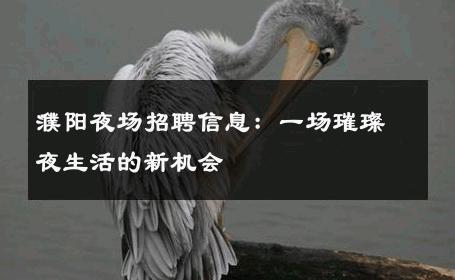 濮阳夜场招聘信息：一场璀璨夜生活的新机会