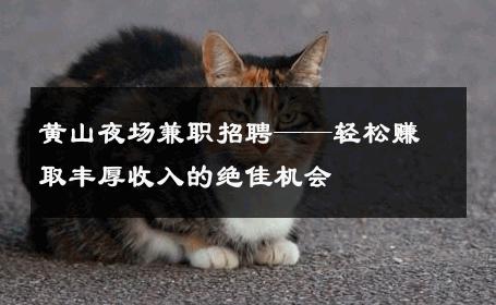 黄山夜场兼职招聘——轻松赚取丰厚收入的绝佳机会