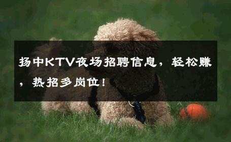 扬中KTV夜场招聘信息，轻松赚，热招多岗位！