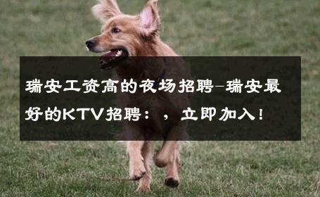 瑞安工资高的夜场招聘-瑞安最好的KTV招聘：，立即加入！