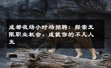 成都夜场小时场招聘：探索无限职业机会，成就你的不凡人生