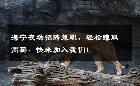 海宁夜场招聘兼职，轻松赚取高薪，快来加入我们！