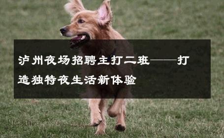 泸州夜场招聘主打二班——打造独特夜生活新体验
