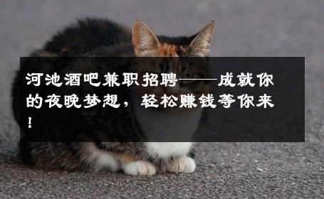 河池酒吧兼职招聘——成就你的夜晚梦想，轻松赚钱等你来！