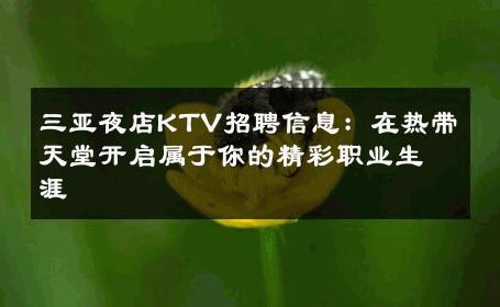 三亚夜店KTV招聘信息：在热带天堂开启属于你的精彩职业生涯