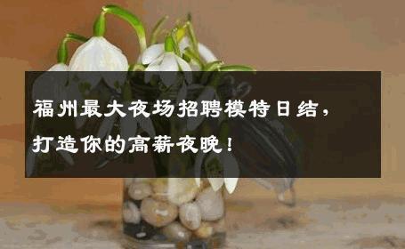 福州最大夜场招聘模特日结，打造你的高薪夜晚！
