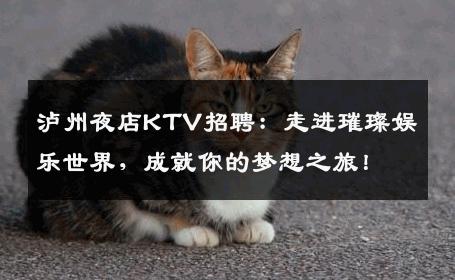 泸州夜店KTV招聘：走进璀璨娱乐世界，成就你的梦想之旅！