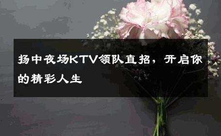 扬中夜场KTV领队直招，开启你的精彩人生