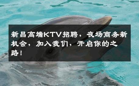 新昌高端KTV招聘，夜场商务新机会，加入我们，开启你的之路！