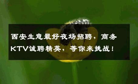 西安生意最好夜场招聘，商务KTV诚聘精英，等你来挑战！