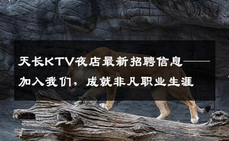 天长KTV夜店最新招聘信息——加入我们，成就非凡职业生涯