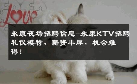 永康夜场招聘信息-永康KTV招聘礼仪模特，薪资丰厚，机会难得！