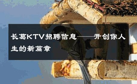 长葛KTV招聘信息——开创你人生的新篇章