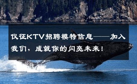 仪征KTV招聘模特信息——加入我们，成就你的闪亮未来！