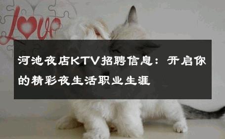 河池夜店KTV招聘信息：开启你的精彩夜生活职业生涯
