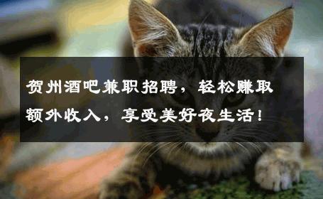 贺州酒吧兼职招聘，轻松赚取额外收入，享受美好夜生活！