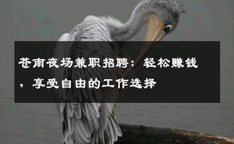 苍南夜场兼职招聘：轻松赚钱，享受自由的工作选择